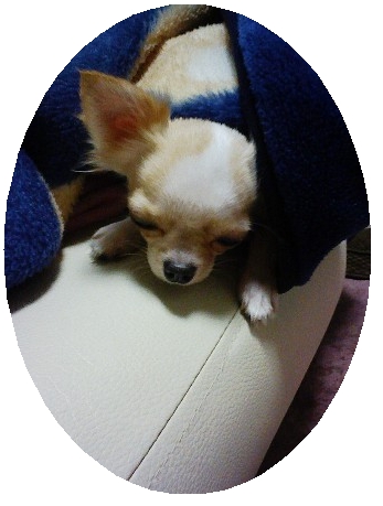 Stay Indoors,The inside