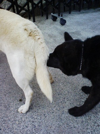 Stay Indoors,The inside