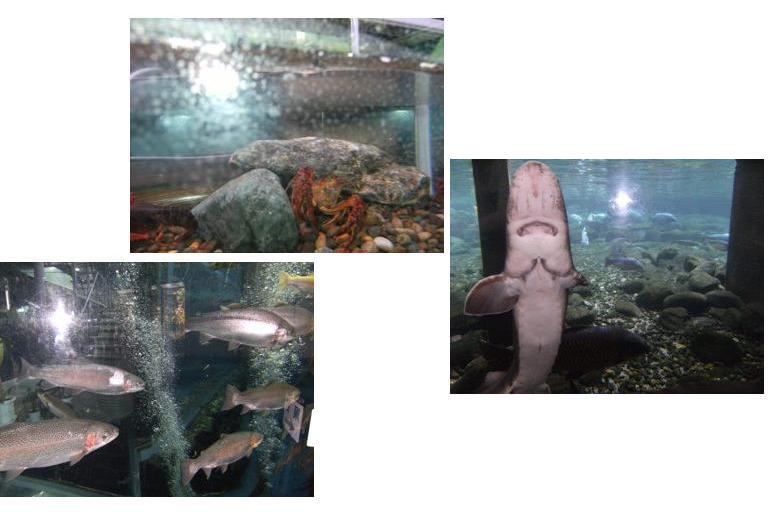 Stay Indoors,The inside