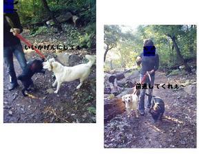 Stay Indoors,The inside