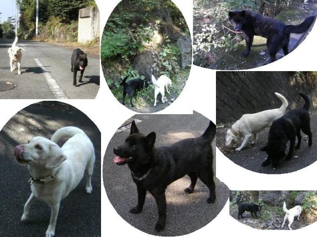 Stay Indoors,The inside