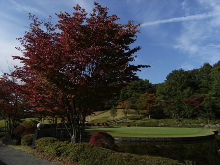 Stay Indoors,The inside