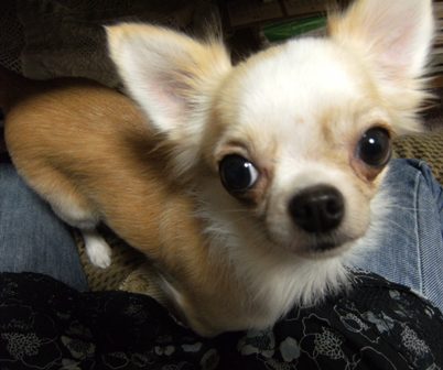 Stay Indoors,The inside