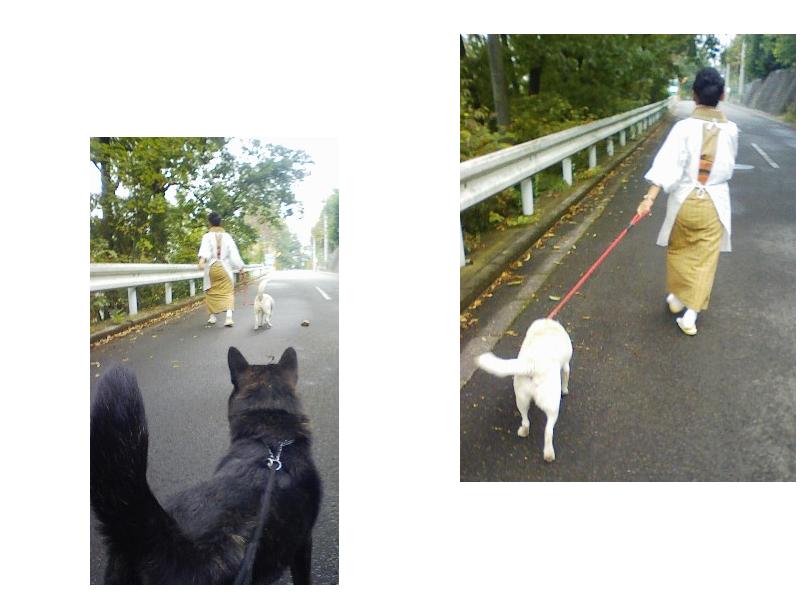 Stay Indoors,The inside