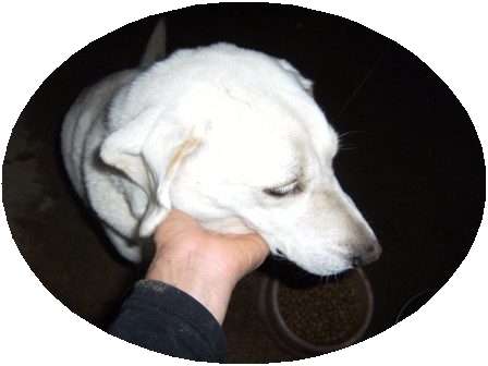 Stay Indoors,The inside