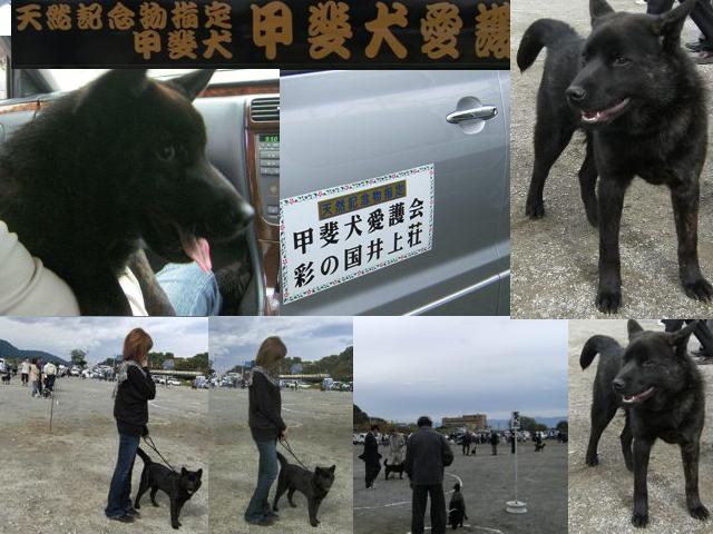 Stay Indoors,The inside