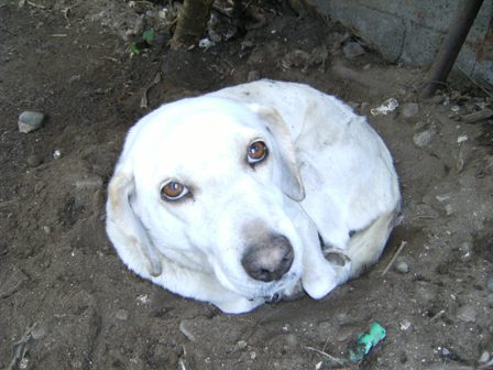 Stay Indoors,The inside