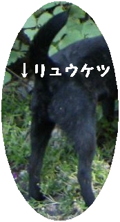 Stay Indoors,The inside