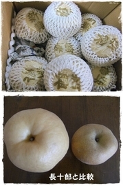 Stay Indoors,The inside