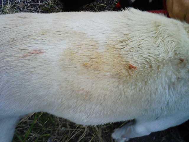 Stay Indoors,The inside