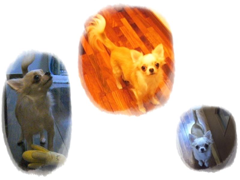 Stay Indoors,The inside