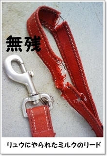 Stay Indoors,The inside