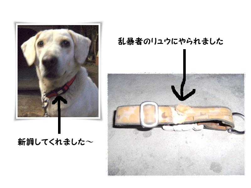 Stay Indoors,The inside