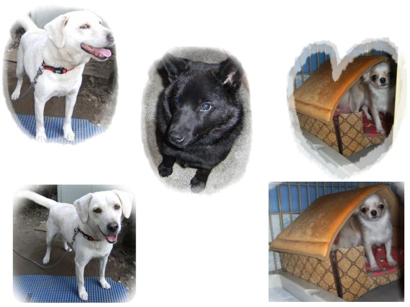 Stay Indoors,The inside