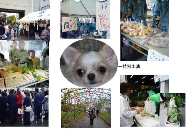 Stay Indoors,The inside