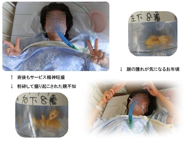 Stay Indoors,The inside