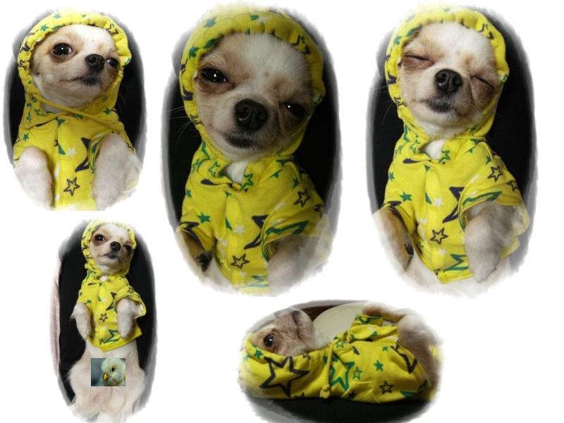 Stay Indoors,The inside