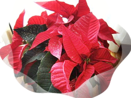 Stay Indoors,The inside