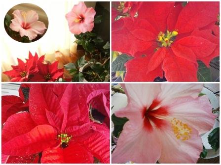 Stay Indoors,The inside