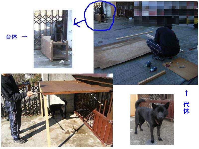 Stay Indoors,The inside