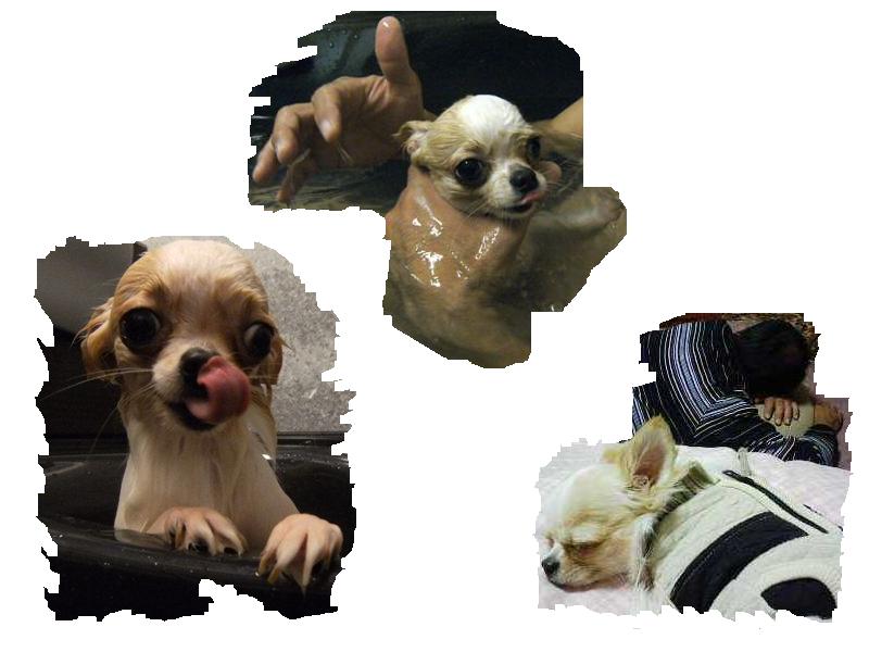 Stay Indoors,The inside