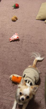 Stay Indoors,The inside