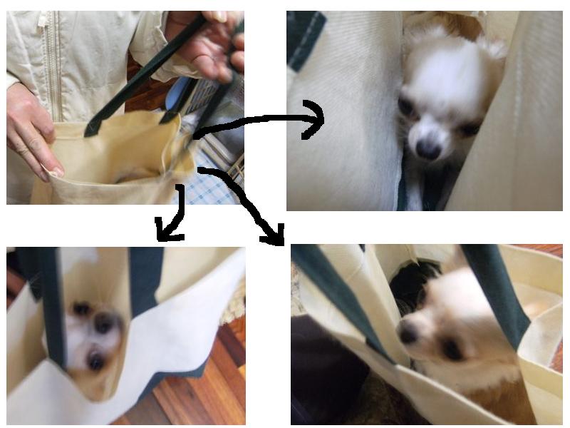 Stay Indoors,The inside