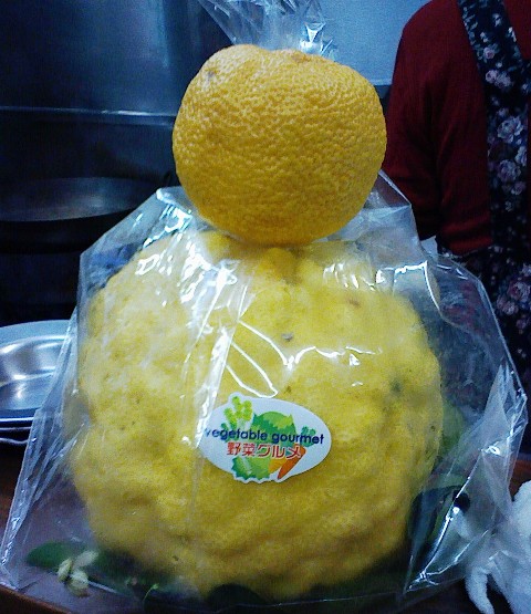 Stay Indoors,The inside