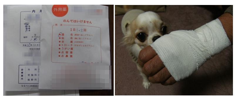 Stay Indoors,The inside