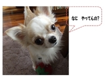 Stay Indoors,The inside