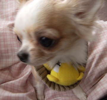 Stay Indoors,The inside