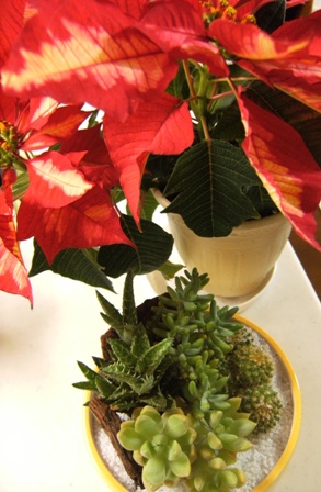 Stay Indoors,The inside