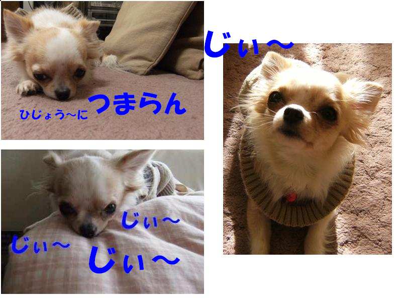 Stay Indoors,The inside