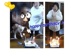 Stay Indoors,The inside