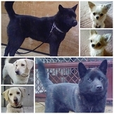 Stay Indoors,The inside