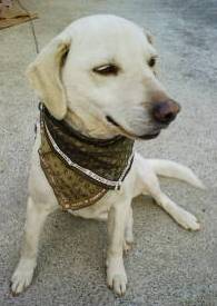 Stay Indoors,The inside