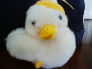 Stay Indoors,The inside