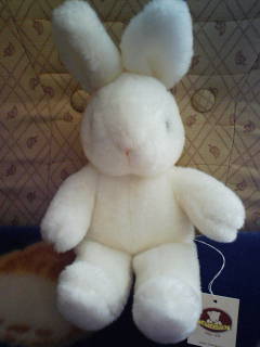 Stay Indoors,The inside