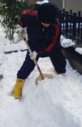 Stay Indoors,The inside