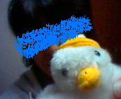 Stay Indoors,The inside