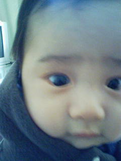 Stay Indoors,The inside