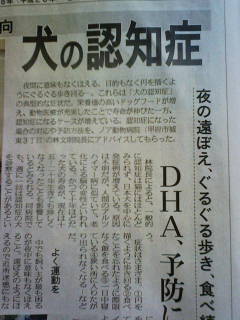 Stay Indoors,The inside