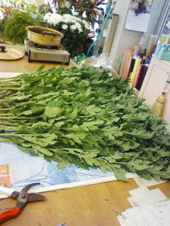 Stay Indoors,The inside