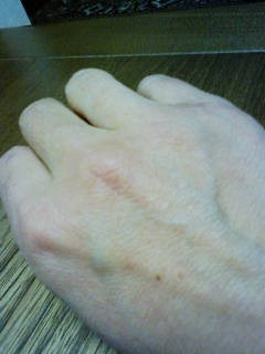 Stay Indoors,The inside