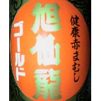 Stay Indoors,The inside