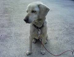 Stay Indoors,The inside