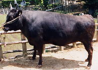 Stay Indoors,The inside