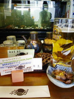 Stay Indoors,The inside