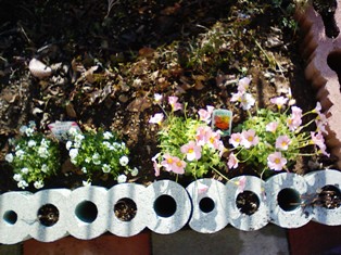 Stay Indoors,The inside