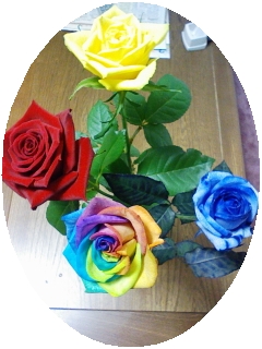 Stay Indoors,The inside